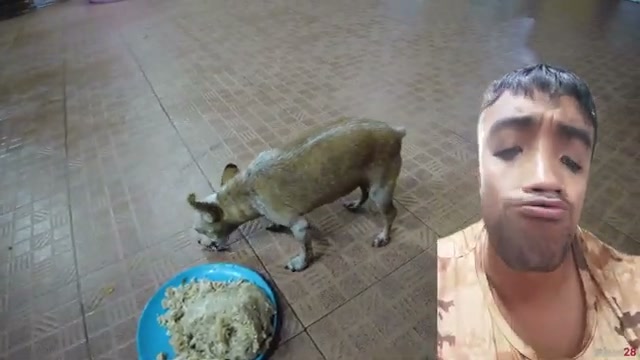 Intro ภาษีขายออนไลน์ EP2