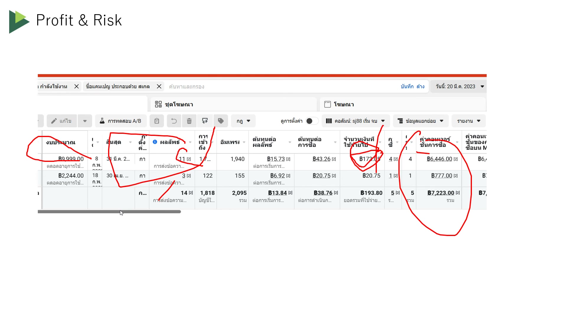 ข้อจำกัด conversion และ pixel